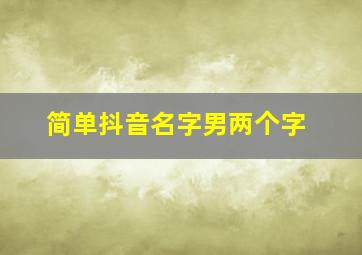 简单抖音名字男两个字