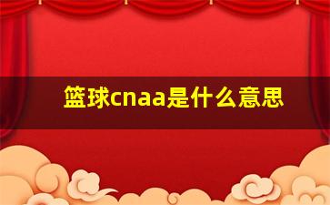 篮球cnaa是什么意思