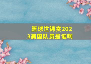 篮球世锦赛2023美国队员是谁啊