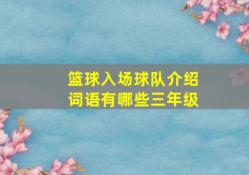 篮球入场球队介绍词语有哪些三年级