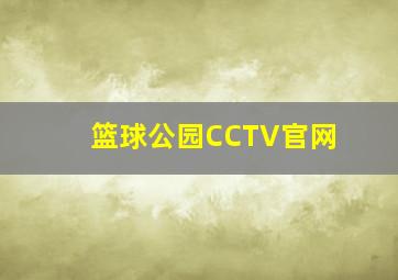 篮球公园CCTV官网