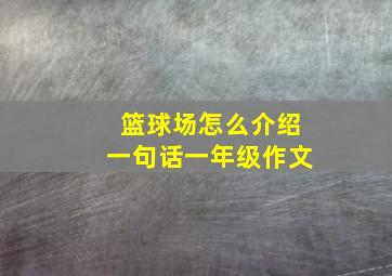 篮球场怎么介绍一句话一年级作文