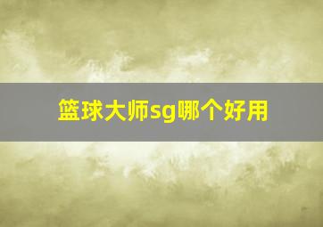 篮球大师sg哪个好用