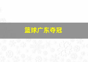 篮球广东夺冠