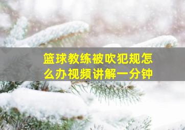 篮球教练被吹犯规怎么办视频讲解一分钟