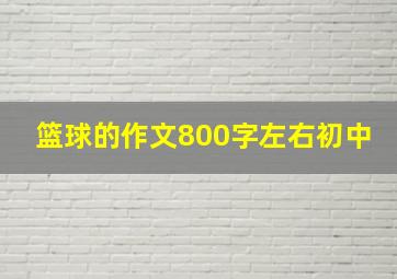 篮球的作文800字左右初中