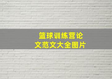 篮球训练营论文范文大全图片