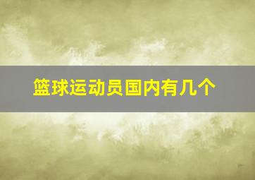 篮球运动员国内有几个