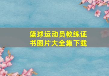 篮球运动员教练证书图片大全集下载