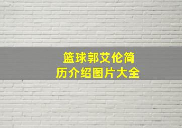 篮球郭艾伦简历介绍图片大全