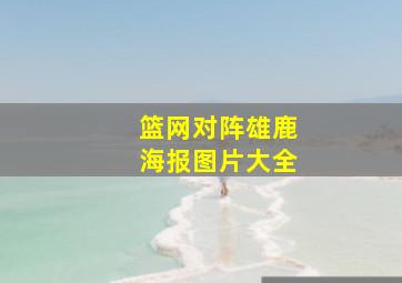 篮网对阵雄鹿海报图片大全