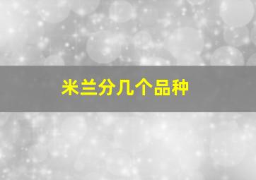 米兰分几个品种