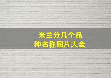 米兰分几个品种名称图片大全