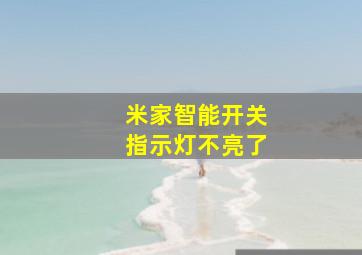 米家智能开关指示灯不亮了