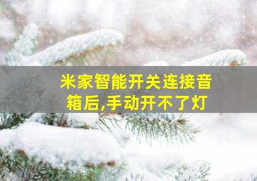 米家智能开关连接音箱后,手动开不了灯