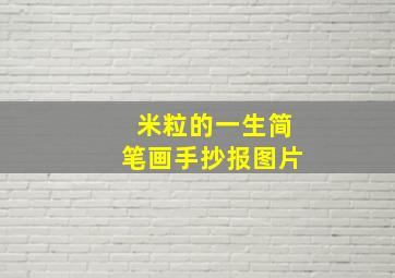 米粒的一生简笔画手抄报图片