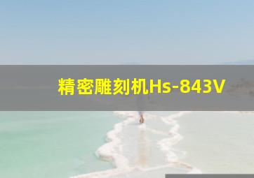 精密雕刻机Hs-843V