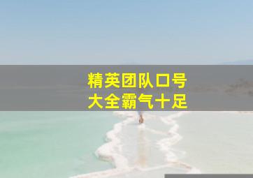 精英团队口号大全霸气十足