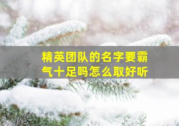 精英团队的名字要霸气十足吗怎么取好听