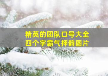 精英的团队口号大全四个字霸气押韵图片