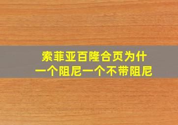 索菲亚百隆合页为什一个阻尼一个不带阻尼