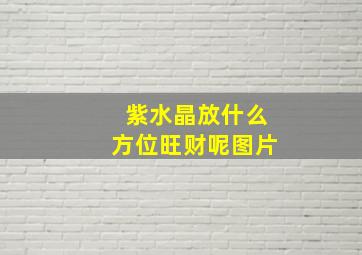 紫水晶放什么方位旺财呢图片