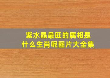 紫水晶最旺的属相是什么生肖呢图片大全集