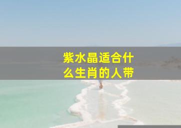 紫水晶适合什么生肖的人带