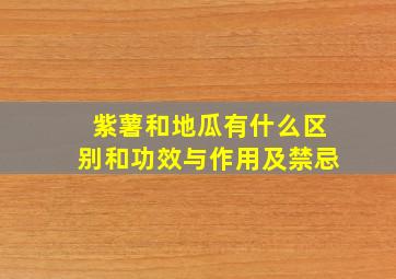 紫薯和地瓜有什么区别和功效与作用及禁忌