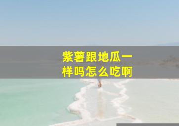 紫薯跟地瓜一样吗怎么吃啊