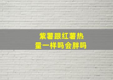 紫薯跟红薯热量一样吗会胖吗