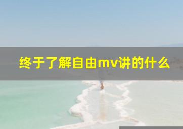 终于了解自由mv讲的什么