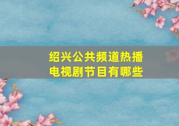 绍兴公共频道热播电视剧节目有哪些