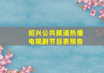 绍兴公共频道热播电视剧节目表预告