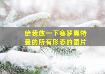 给我放一下赛罗奥特曼的所有形态的图片