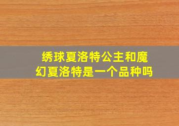 绣球夏洛特公主和魔幻夏洛特是一个品种吗