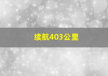 续航403公里