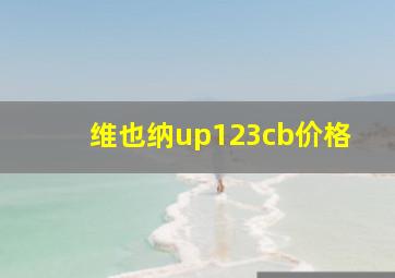 维也纳up123cb价格