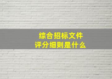 综合招标文件评分细则是什么