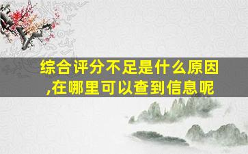 综合评分不足是什么原因,在哪里可以查到信息呢