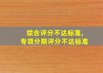 综合评分不达标准,专项分期评分不达标准