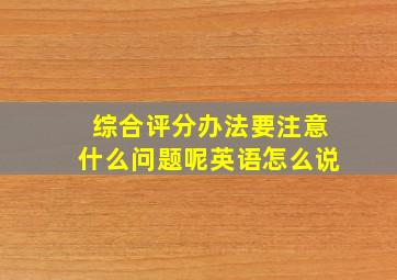 综合评分办法要注意什么问题呢英语怎么说