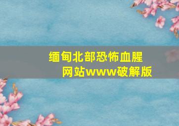 缅甸北部恐怖血腥网站www破解版