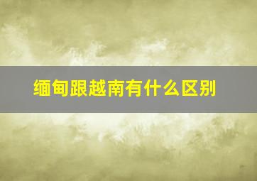 缅甸跟越南有什么区别