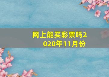 网上能买彩票吗2020年11月份