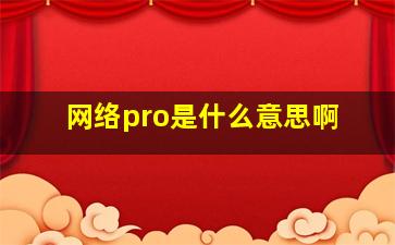 网络pro是什么意思啊