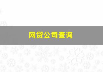 网贷公司查询