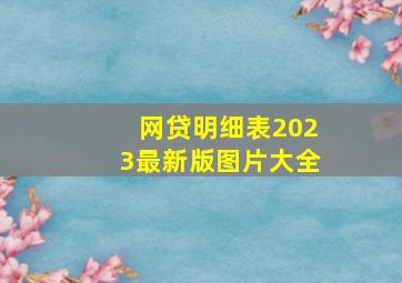 网贷明细表2023最新版图片大全