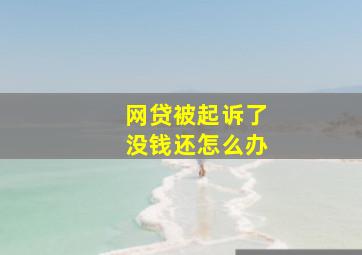 网贷被起诉了没钱还怎么办