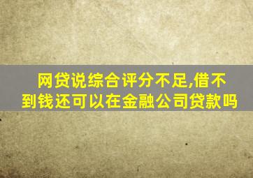 网贷说综合评分不足,借不到钱还可以在金融公司贷款吗